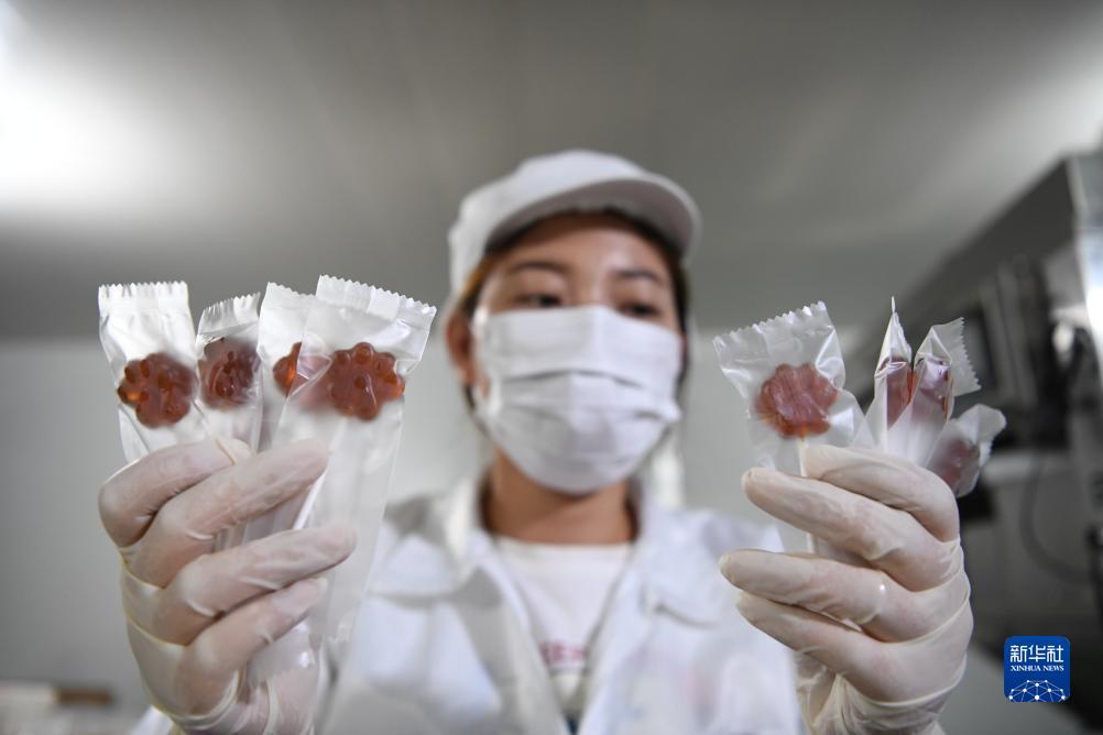 vinbet利博手机客户端